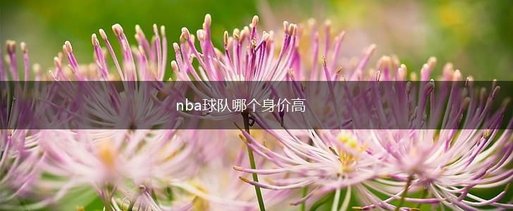 nba球队哪个身价高,第1张