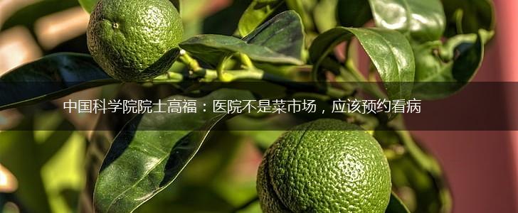 中国科学院院士高福：医院不是菜市场，应该预约看病,第1张