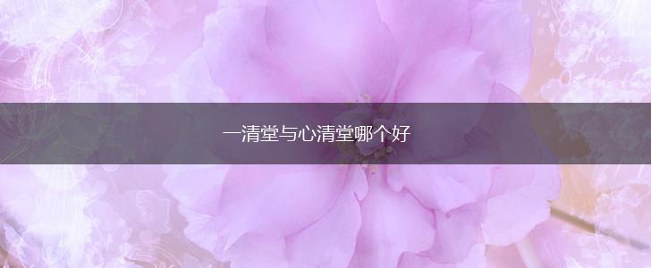 一清堂与心清堂哪个好,第1张
