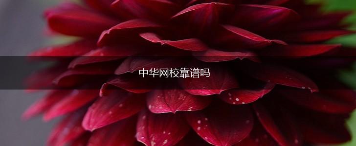 中华网校靠谱吗,第1张