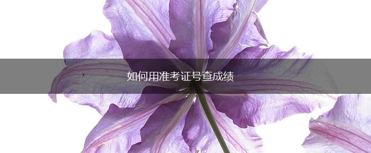如何用准考证号查成绩,第1张