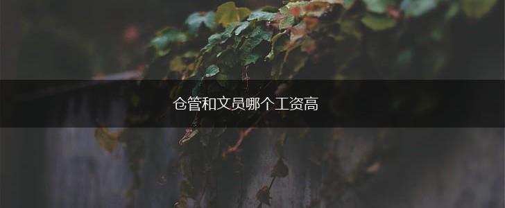 仓管和文员哪个工资高,第1张