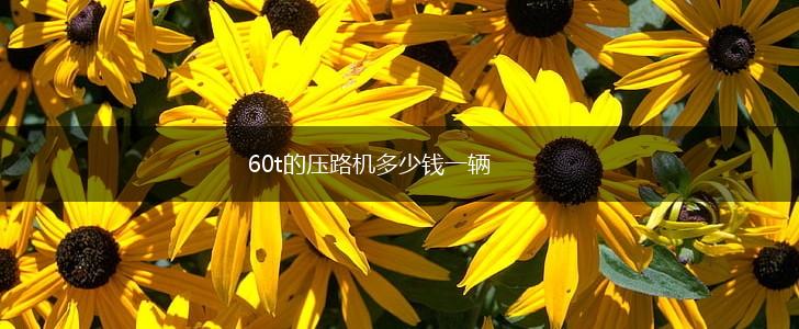 60t的压路机多少钱一辆,第1张