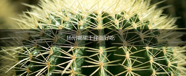 扬州哪里干拌面好吃,第1张