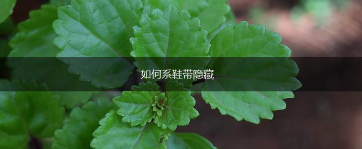 如何系鞋带隐藏,第1张