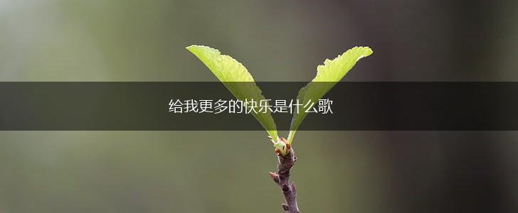 给我更多的快乐是什么歌,第1张