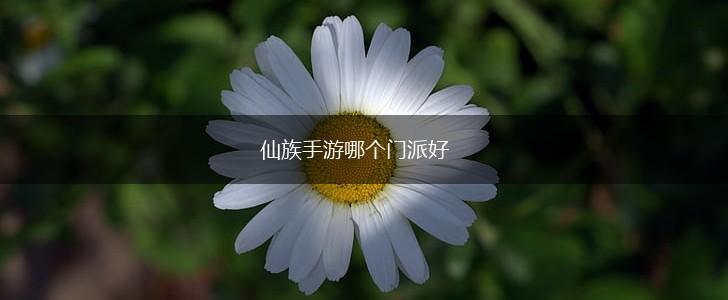 仙族手游哪个门派好,第1张
