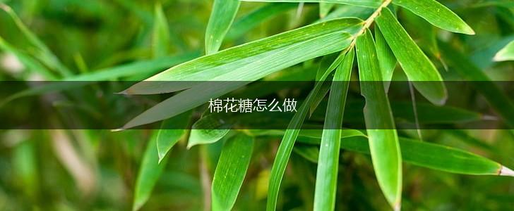棉花糖怎么做,第1张