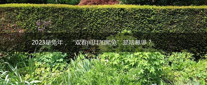 2023是兔年，“双春闰月加黑兔”是啥意思？,第1张