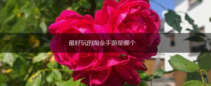 最好玩的淘金手游是哪个,第1张