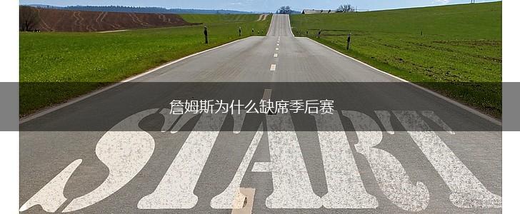 詹姆斯为什么缺席季后赛,第1张