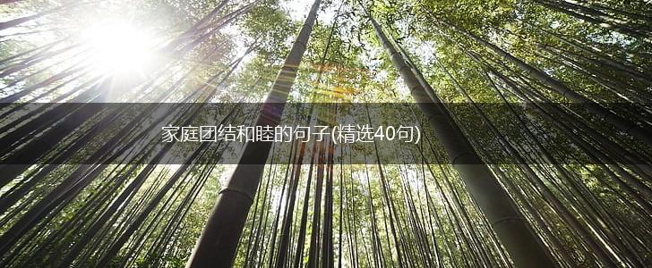 家庭团结和睦的句子(精选40句),第1张