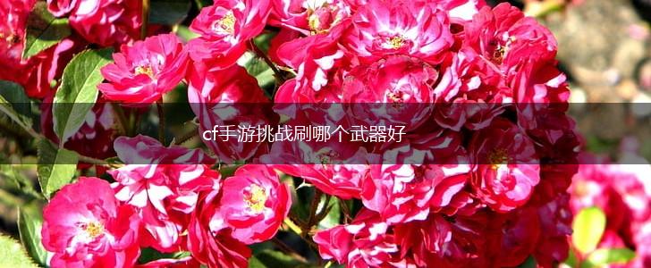 cf手游挑战刷哪个武器好,第1张