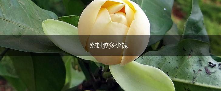 密封胶多少钱,第1张