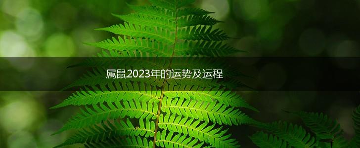 属鼠2023年的运势及运程,第1张