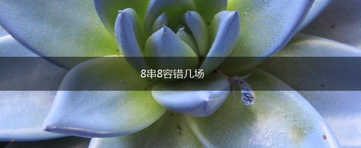 8串8容错几场,第1张