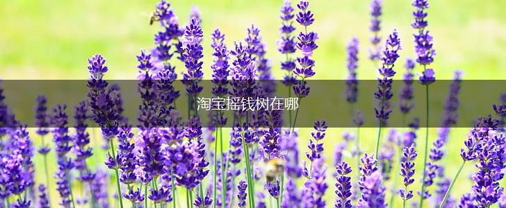 淘宝摇钱树在哪,第1张