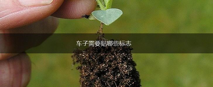 车子需要贴哪些标志,第1张