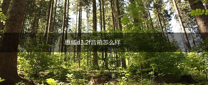 惠威d3.2f音箱怎么样,第1张