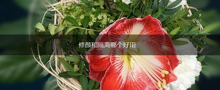 修颜和隔离哪个好用,第1张