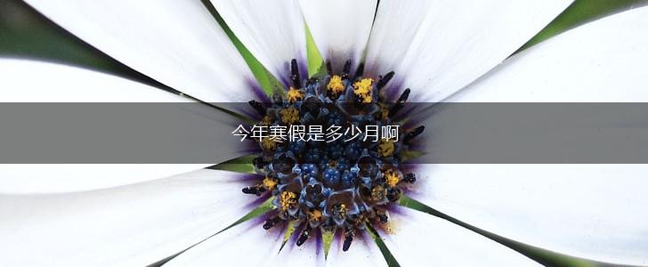今年寒假是多少月啊,第1张