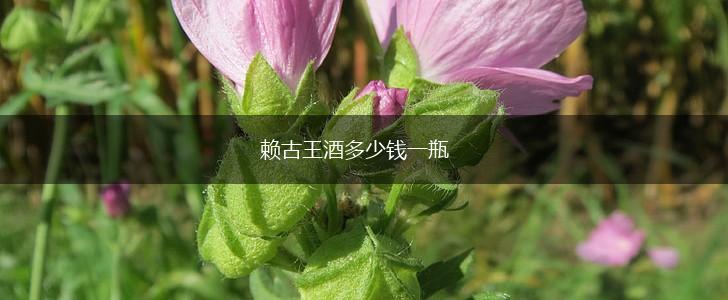 赖古王酒多少钱一瓶,第1张