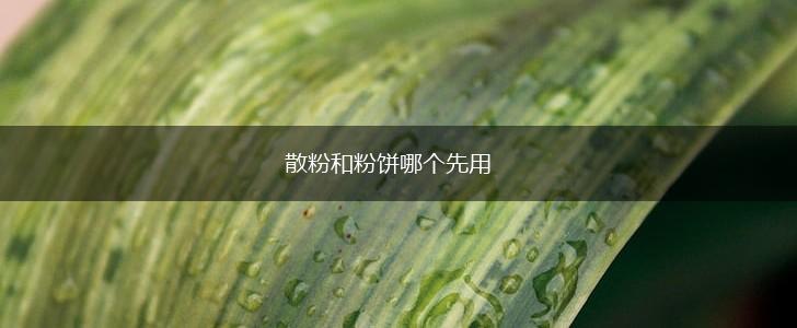 散粉和粉饼哪个先用,第1张