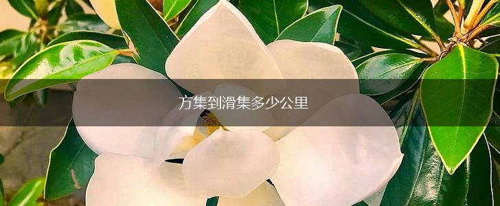 方集到滑集多少公里,第1张