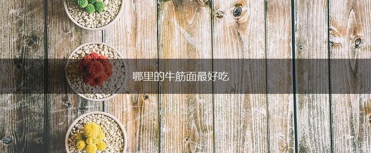 哪里的牛筋面最好吃,第1张