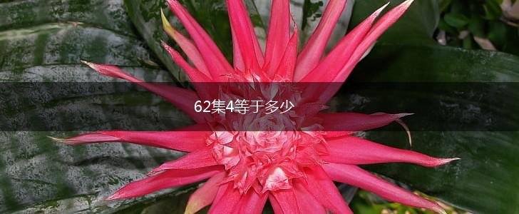 62集4等于多少,第1张