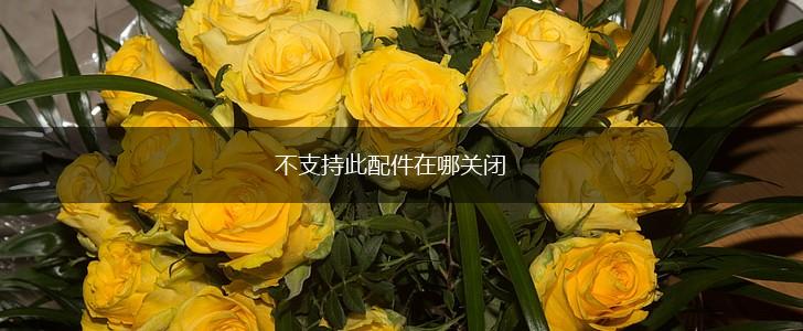 不支持此配件在哪关闭,第1张
