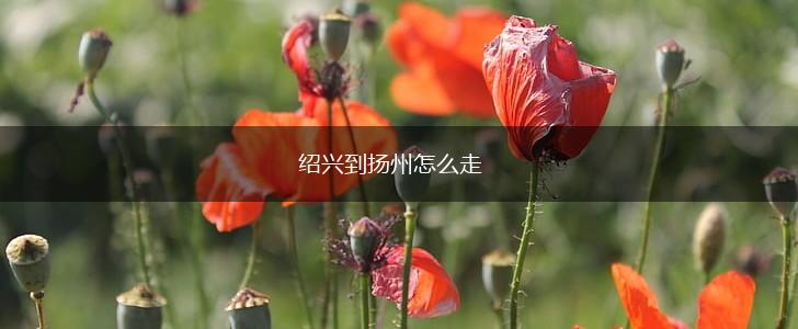 绍兴到扬州怎么走,第1张