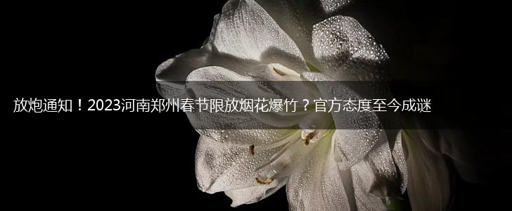 放炮通知！2023河南郑州春节限放烟花爆竹？官方态度至今成谜,第1张