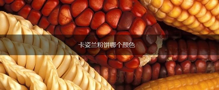 卡姿兰粉饼哪个颜色,第1张