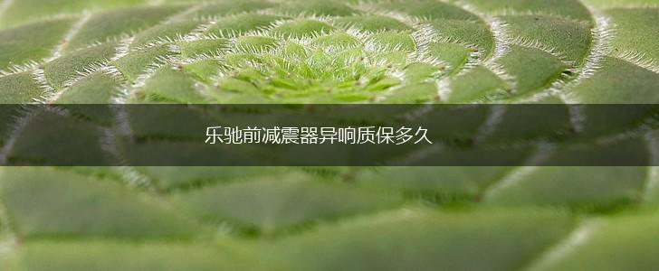 乐驰前减震器异响质保多久,第1张