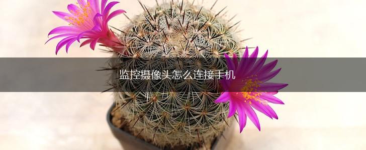监控摄像头怎么连接手机,第1张