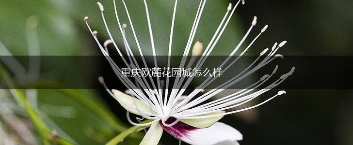 重庆欧麓花园城怎么样,第1张