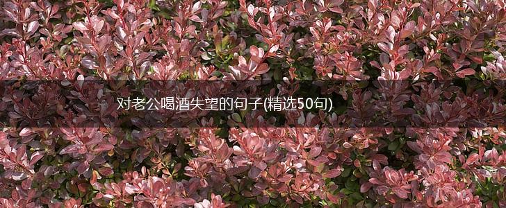 对老公喝酒失望的句子(精选50句),第1张