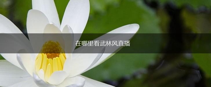 在哪里看武林风直播,第1张