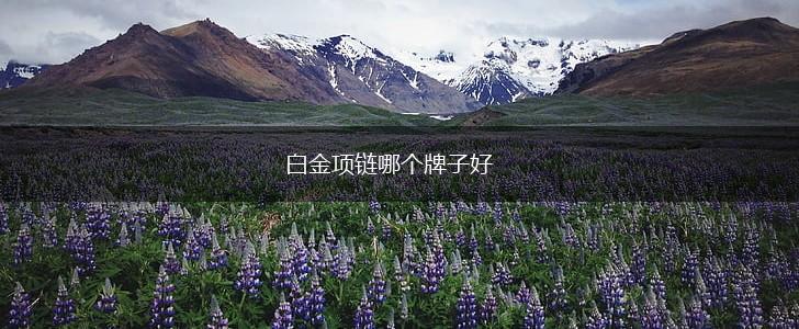 白金项链哪个牌子好,第1张