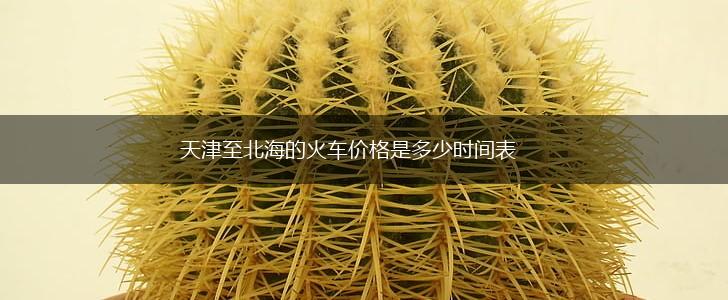 天津至北海的火车价格是多少时间表,第1张