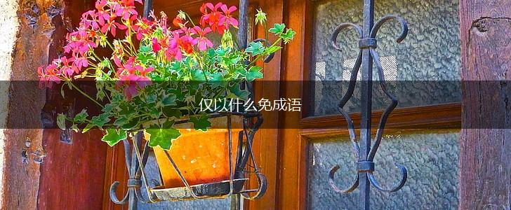仅以什么免成语,第1张