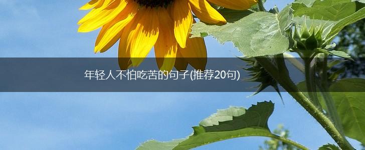 年轻人不怕吃苦的句子(推荐20句),第1张