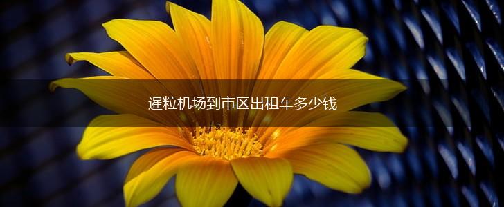 暹粒机场到市区出租车多少钱,第1张
