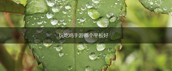 玩吃鸡手游哪个平板好,第1张