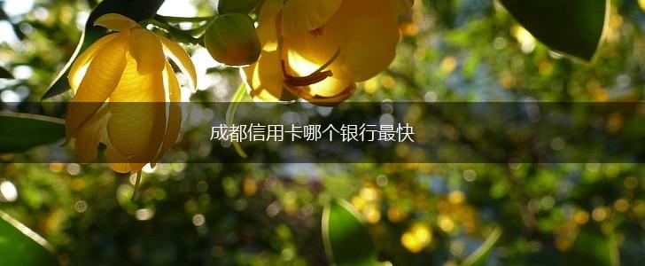 成都信用卡哪个银行最快,第1张