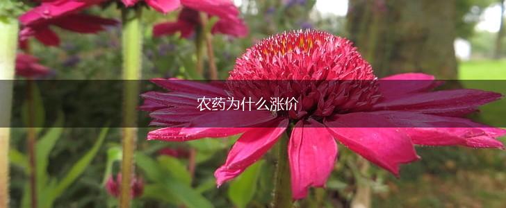 农药为什么涨价,第1张