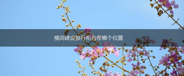 横岗建设银行柜台在哪个位置,第1张