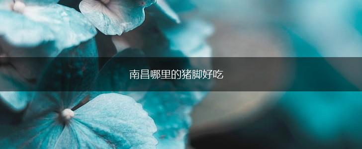 南昌哪里的猪脚好吃,第1张
