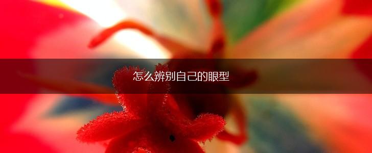 怎么辨别自己的眼型,第1张
